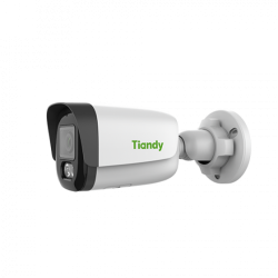 TIANDY IP Camera Full Combo Set (4Ch Poe Nvr, 2Mp Ip Bullet Camera - 2Pcs, 2Mp Ip Dome Camera - 2Pcs, 1Tb Hard Drive)